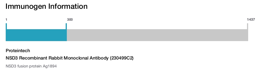 NSD3 Recombinant Rabbit Monoclonal Antibody (230499C2)