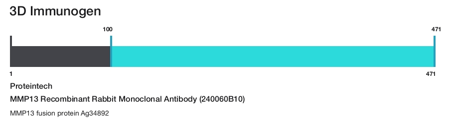 MMP13 Recombinant Rabbit Monoclonal Antibody (240060B10)