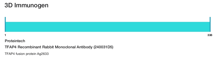 TFAP4 Recombinant Rabbit Monoclonal Antibody (240031D5)