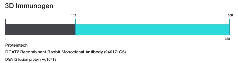 DGAT2 Recombinant Rabbit Monoclonal Antibody (240171C6)