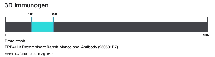 EPB41L3 Recombinant Rabbit Monoclonal Antibody (230501D7)