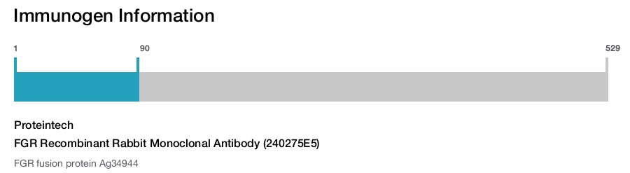 FGR Recombinant Rabbit Monoclonal Antibody (240275E5)