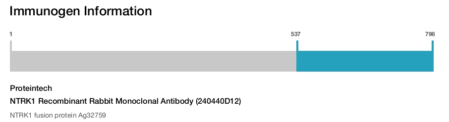 NTRK1 Recombinant Rabbit Monoclonal Antibody (240440D12)