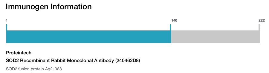 SOD2 Recombinant Rabbit Monoclonal Antibody (240462D8)