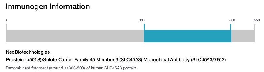 Prostein (p501S)/Solute Carrier Family 45 Member 3 (SLC45A3) Monoclonal Antibody (SLC45A3/7653)