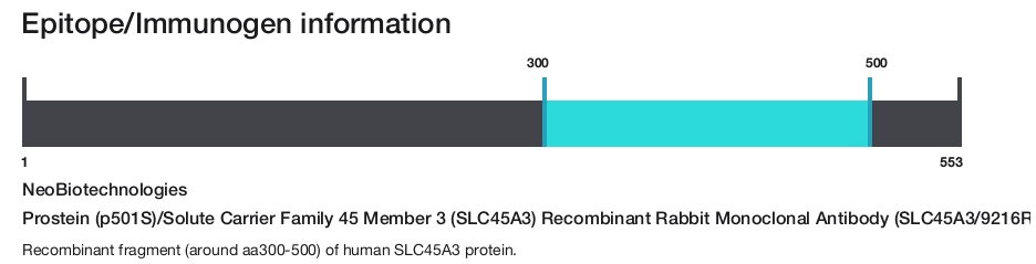Prostein (p501S)/Solute Carrier Family 45 Member 3 (SLC45A3) Recombinant Rabbit Monoclonal Antibody (SLC45A3/9216R)