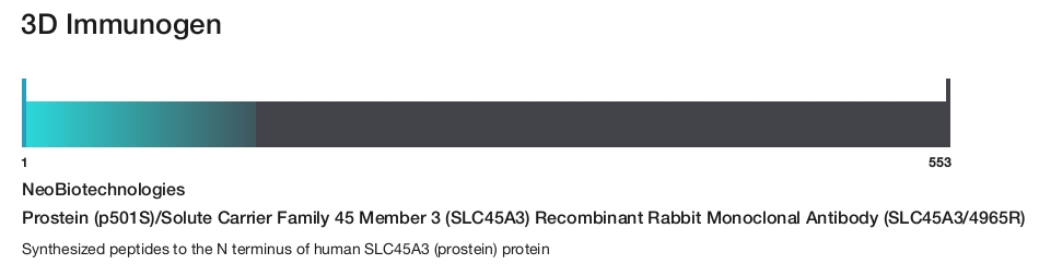 Prostein (p501S)/Solute Carrier Family 45 Member 3 (SLC45A3) Recombinant Rabbit Monoclonal Antibody (SLC45A3/4965R)