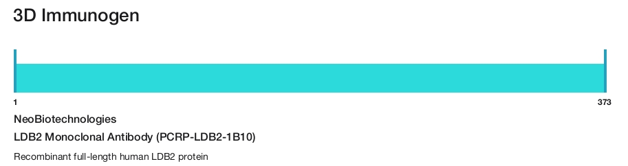 LDB2 Monoclonal Antibody (PCRP-LDB2-1B10)