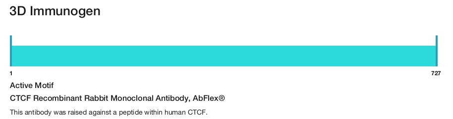 CTCF Recombinant Rabbit Monoclonal Antibody, AbFlex&reg;