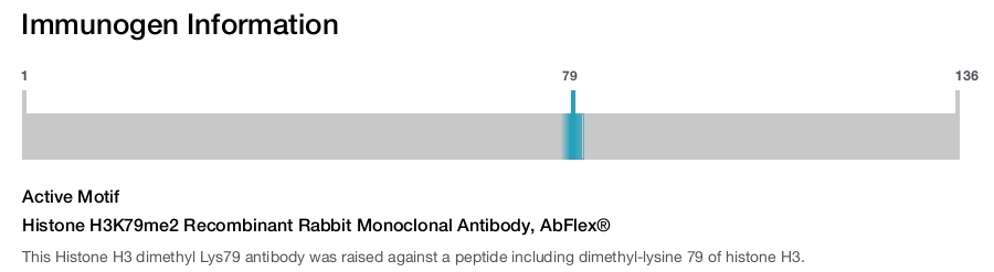 Histone H3K79me2 Recombinant Rabbit Monoclonal Antibody, AbFlex®