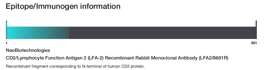 CD2/Lymphocyte Function Antigen 2 (LFA-2) Recombinant Rabbit Monoclonal Antibody (LFA2/8681R)