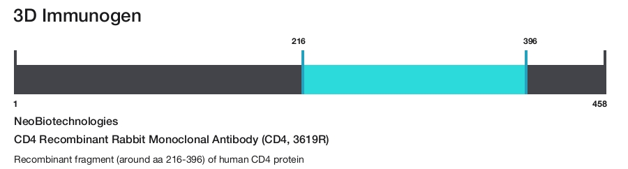 CD4 Recombinant Rabbit Monoclonal Antibody (CD4, 3619R)