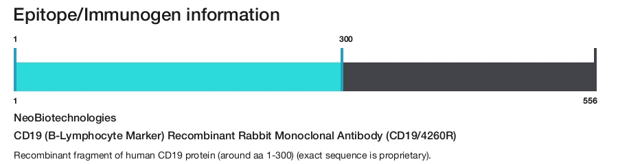 CD19 (B-Lymphocyte Marker) Recombinant Rabbit Monoclonal Antibody (CD19/4260R)