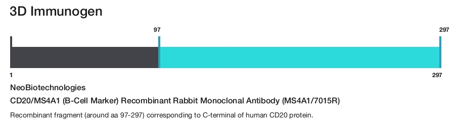 CD20/MS4A1 (B-Cell Marker) Recombinant Rabbit Monoclonal Antibody (MS4A1/7015R)
