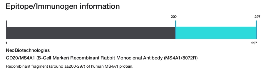 CD20/MS4A1 (B-Cell Marker) Recombinant Rabbit Monoclonal Antibody (MS4A1/8072R)