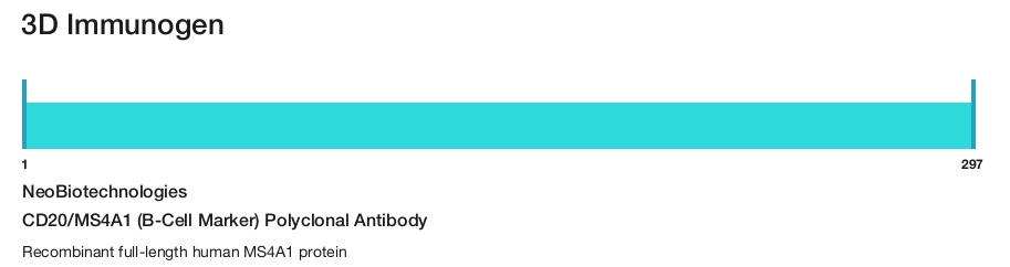 CD20/MS4A1 (B-Cell Marker) Polyclonal Antibody
