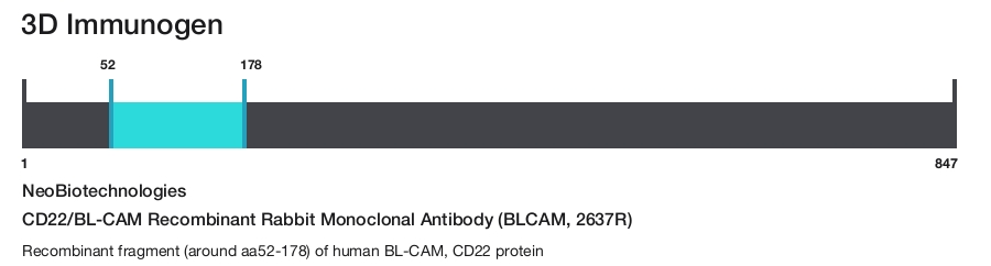 CD22/BL-CAM Recombinant Rabbit Monoclonal Antibody (BLCAM, 2637R)