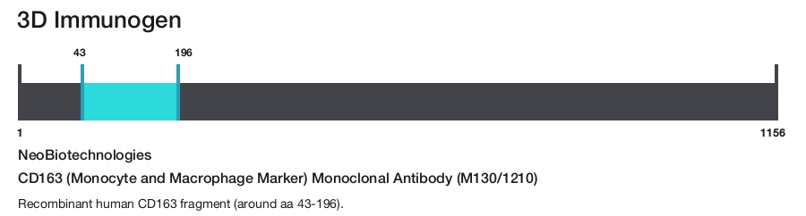 CD163 (Monocyte and Macrophage Marker) Monoclonal Antibody (M130/1210)