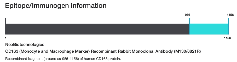 CD163 (Monocyte and Macrophage Marker) Recombinant Rabbit Monoclonal Antibody (M130/8821R)