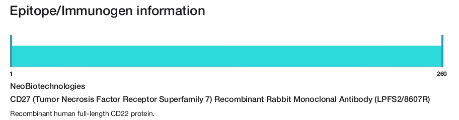 CD27 (Tumor Necrosis Factor Receptor Superfamily 7) Recombinant Rabbit Monoclonal Antibody (LPFS2/8607R)