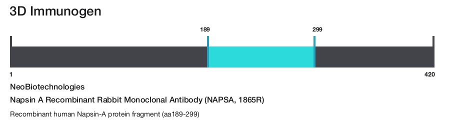 Napsin A Recombinant Rabbit Monoclonal Antibody (NAPSA, 1865R)