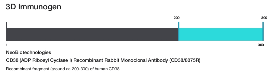 CD38 (ADP Ribosyl Cyclase I) Recombinant Rabbit Monoclonal Antibody (CD38/8075R)