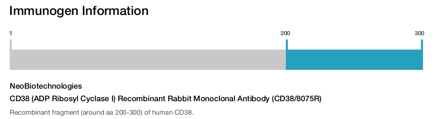 CD38 (ADP Ribosyl Cyclase I) Recombinant Rabbit Monoclonal Antibody (CD38/8075R)