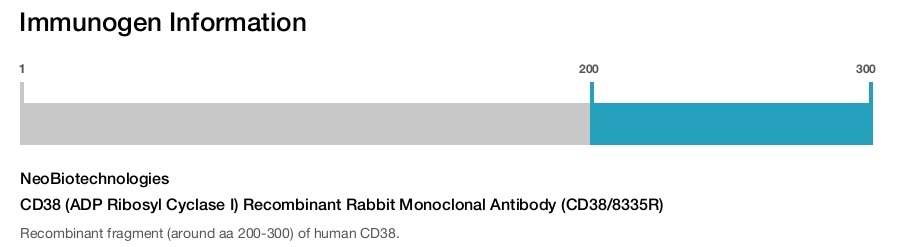CD38 (ADP Ribosyl Cyclase I) Recombinant Rabbit Monoclonal Antibody (CD38/8335R)