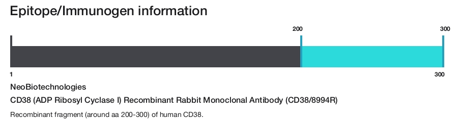 CD38 (ADP Ribosyl Cyclase I) Recombinant Rabbit Monoclonal Antibody (CD38/8994R)