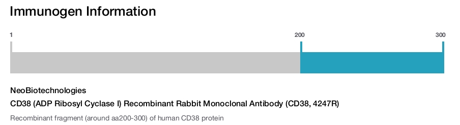 CD38 (ADP Ribosyl Cyclase I) Recombinant Rabbit Monoclonal Antibody (CD38, 4247R)