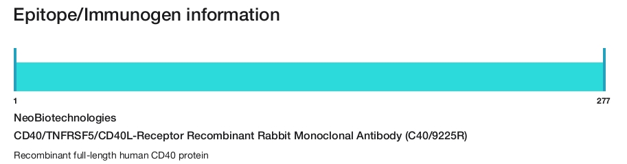 CD40/TNFRSF5/CD40L-Receptor Recombinant Rabbit Monoclonal Antibody (C40/9225R)