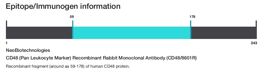 CD48 (Pan Leukocyte Marker) Recombinant Rabbit Monoclonal Antibody (CD48/8601R)