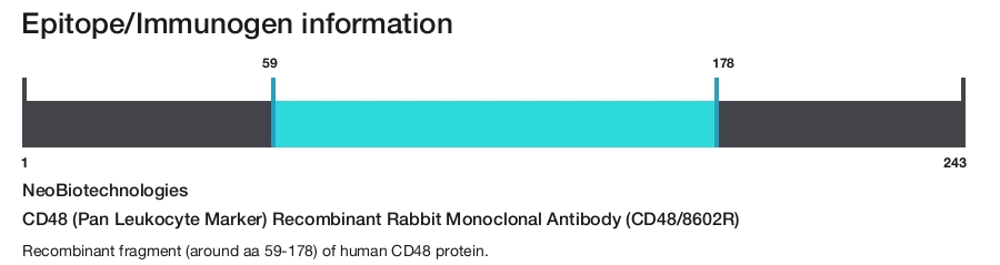 CD48 (Pan Leukocyte Marker) Recombinant Rabbit Monoclonal Antibody (CD48/8602R)