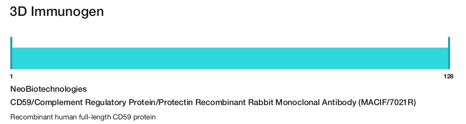 CD59/Complement Regulatory Protein/Protectin Recombinant Rabbit Monoclonal Antibody (MACIF/7021R)