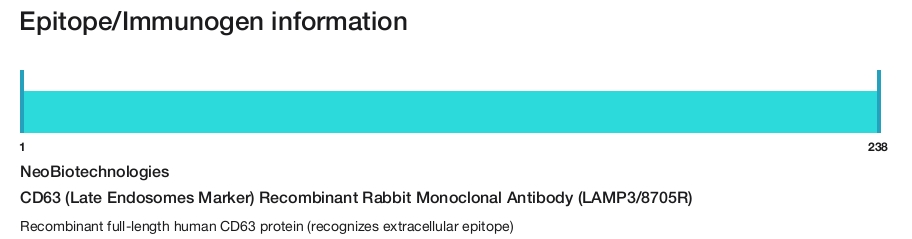 CD63 (Late Endosomes Marker) Recombinant Rabbit Monoclonal Antibody (LAMP3/8705R)