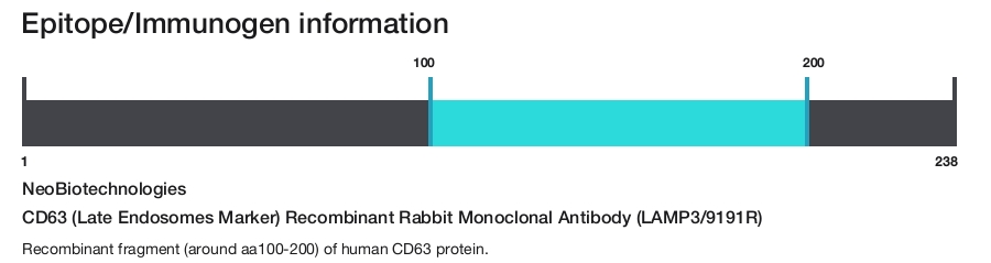 CD63 (Late Endosomes Marker) Recombinant Rabbit Monoclonal Antibody (LAMP3/9191R)