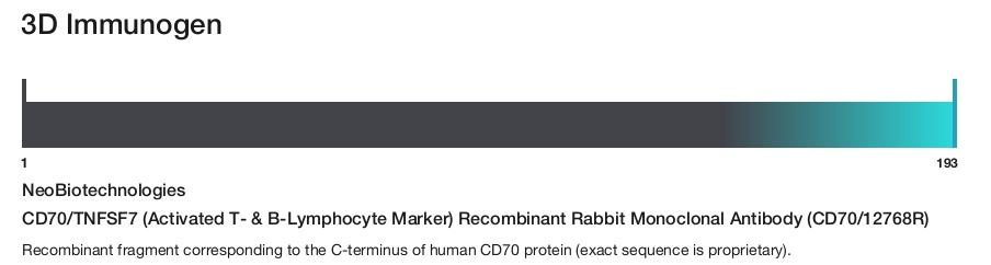 CD70/TNFSF7 (Activated T- & B-Lymphocyte Marker) Recombinant Rabbit Monoclonal Antibody (CD70/12768R)