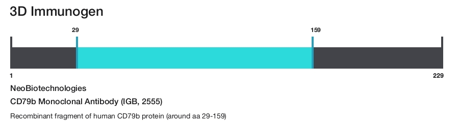 CD79b Monoclonal Antibody (IGB, 2555)