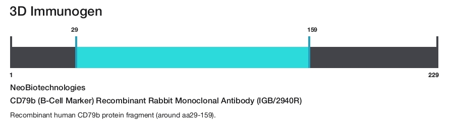 CD79b (B-Cell Marker) Recombinant Rabbit Monoclonal Antibody (IGB/2940R)