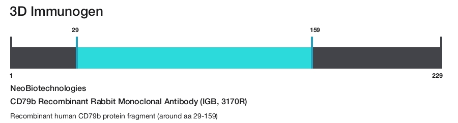 CD79b Recombinant Rabbit Monoclonal Antibody (IGB, 3170R)
