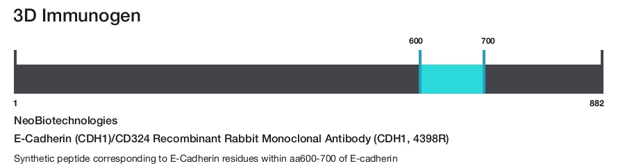 E-Cadherin (CDH1)/CD324 Recombinant Rabbit Monoclonal Antibody (CDH1, 4398R)