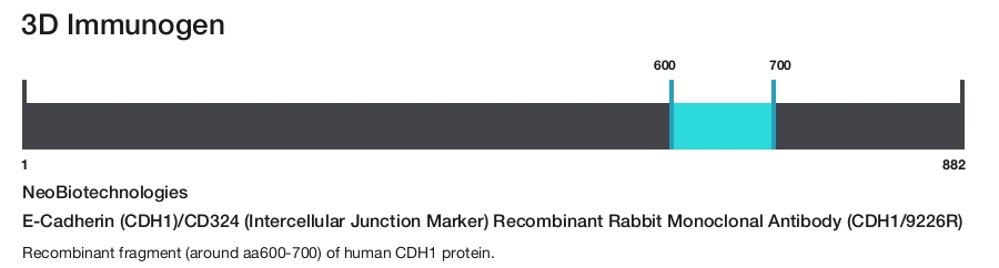 E-Cadherin (CDH1)/CD324 (Intercellular Junction Marker) Recombinant Rabbit Monoclonal Antibody (CDH1/9226R)