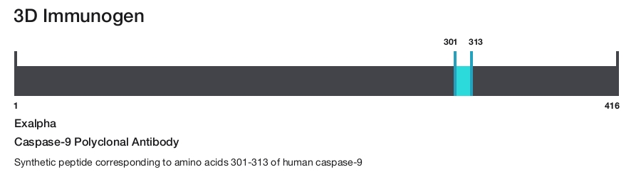 Caspase-9 Polyclonal Antibody