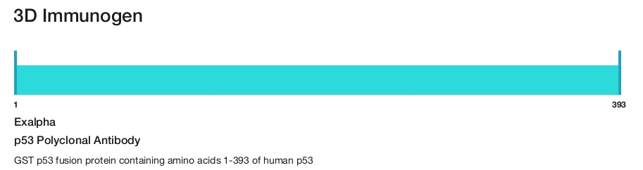 p53 Polyclonal Antibody