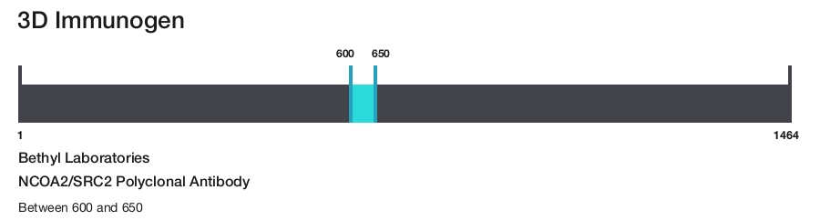 NCOA2/SRC2 Polyclonal Antibody