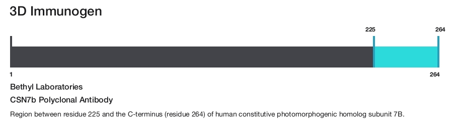 CSN7b Polyclonal Antibody