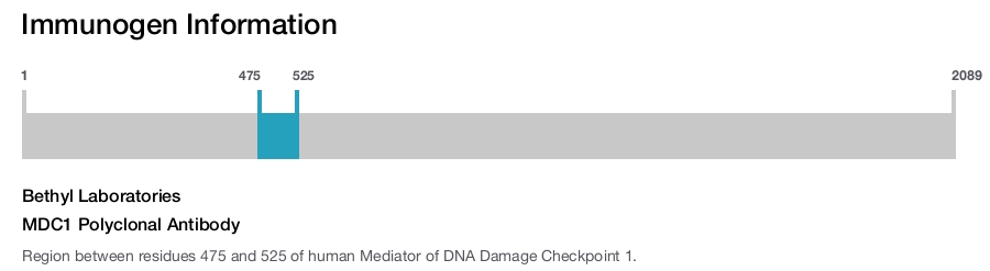 MDC1 Polyclonal Antibody
