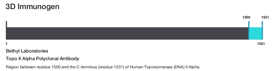 Topo II Alpha Polyclonal Antibody
