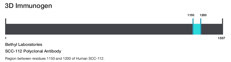SCC-112 Polyclonal Antibody