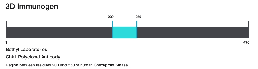 Chk1 Polyclonal Antibody